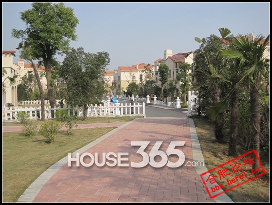 地图实景图 HOUSE365 资讯中心) 同时,项目一线紧邻浩瀚的八百里巢湖,处于环巢湖旅游开发区内,是省会经济圈自然天成的后花园。随着滨湖大道的开通,一个集居住、度假、休闲、娱乐、商务的滨湖高尚社区正在形成,从碧桂园滨湖城到滨湖新区的车程也缩至20分钟。此外,为了满足合肥人民休闲度假的要求,碧桂园滨湖城还将开发建造五星级标准酒店、大型商业广场等高尚生活配套设施,让业主入住时即可享受到配套齐全的高品质休闲度假生活。 据项目置业顾问介绍,碧桂园滨湖城在售151-251平米别墅,均价5300元/平米;