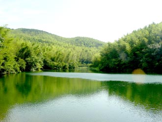 江宁横溪石塘竹海