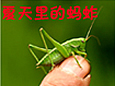 ��ҵ�������迼��