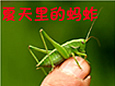 ¥�л�ů�򲻿ɱ���