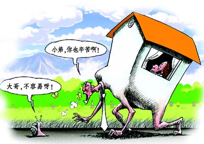 赵丽颖收入比何炅高_月供占家庭收入比