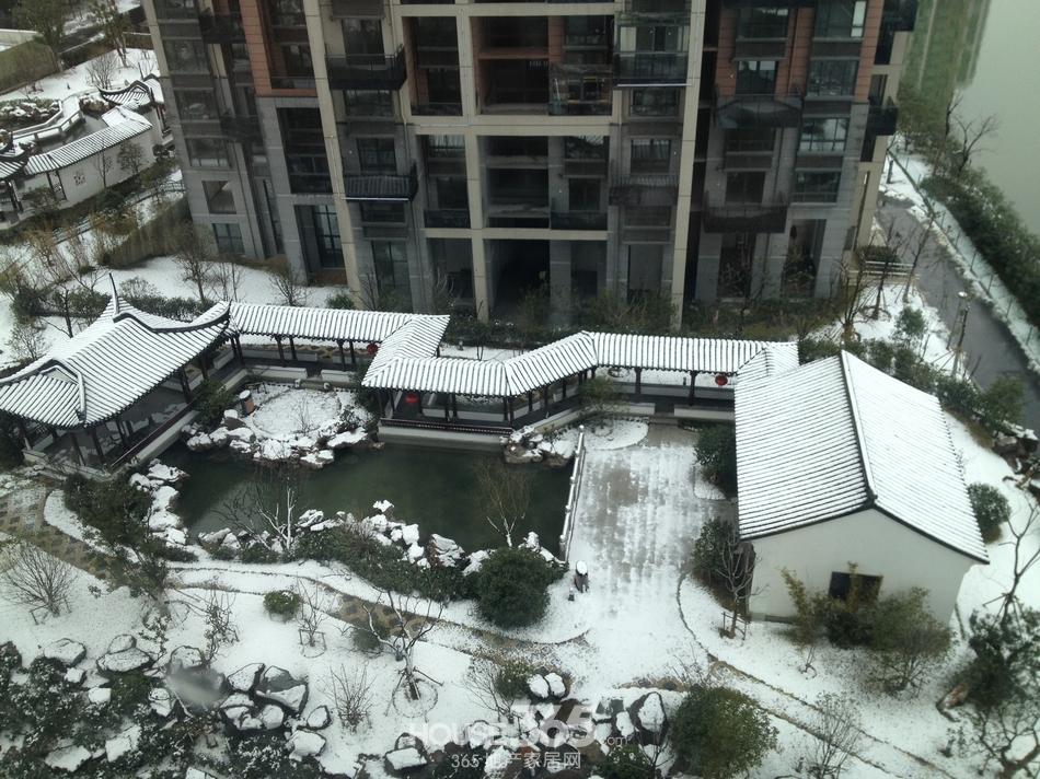 图|蝴蝶湾白雪皑皑 园区苏式园林如此美景美煞人-苏州