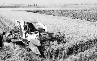 1361585638512825e636e1c.jpg
