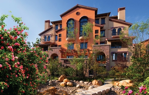 东方维罗纳DIY插花免费送 美丽永不迟到-房产