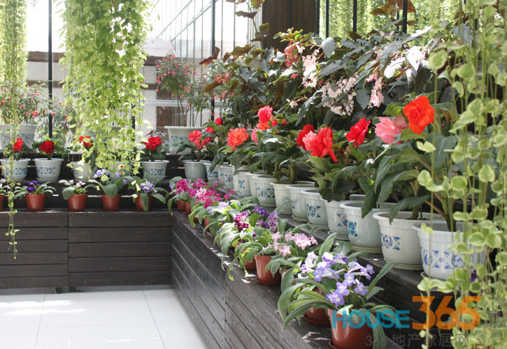 一进门摆什么绿植最好 1375965904520392d0a003d.jpg