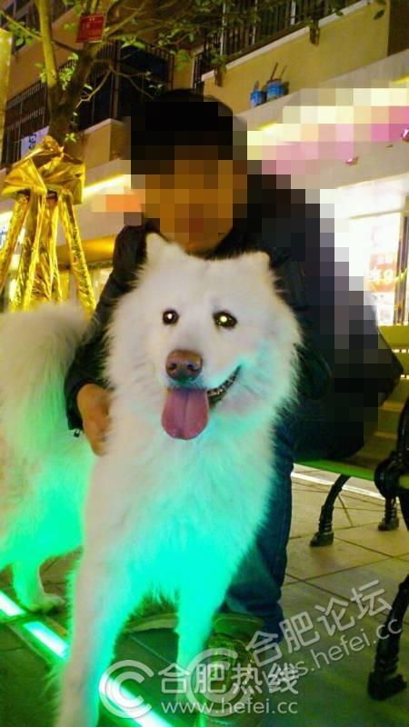 推荐一款5000左右的游戏本,要能玩GTA5的-求