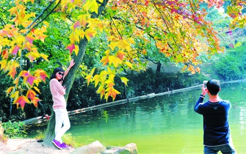 今日立冬 气温短期却在回升-房产资讯-苏州房地