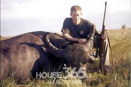 哈里王子猎杀水牛照片曝光 保护动物诚意遭质