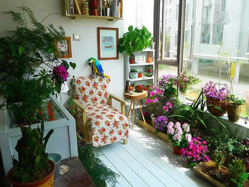 花植搭建文艺阳台